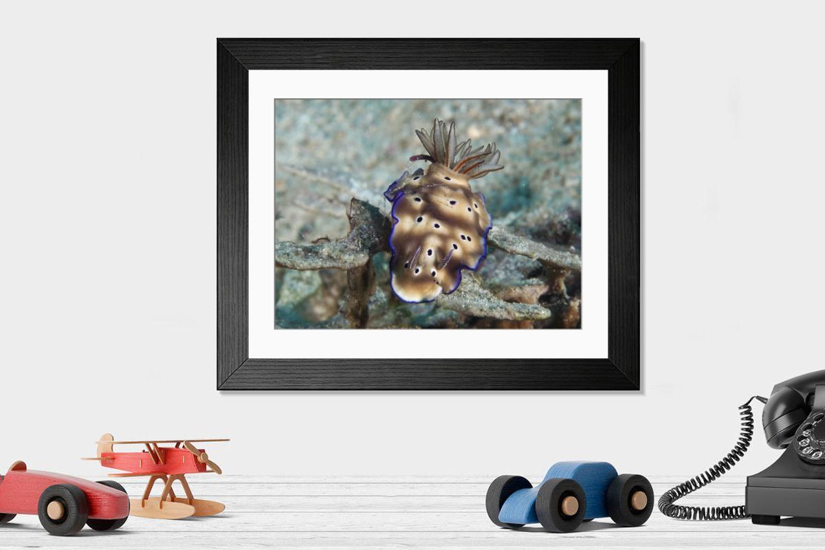 Shown hanging in a room: Modern 14"x12" (36x31cm)