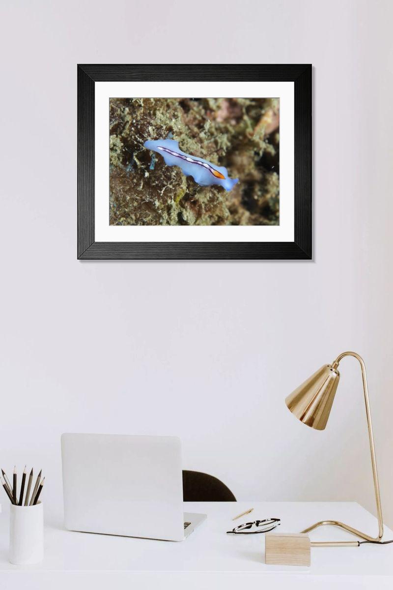 Shown hanging in a room: Modern 14"x12" (36x31cm)