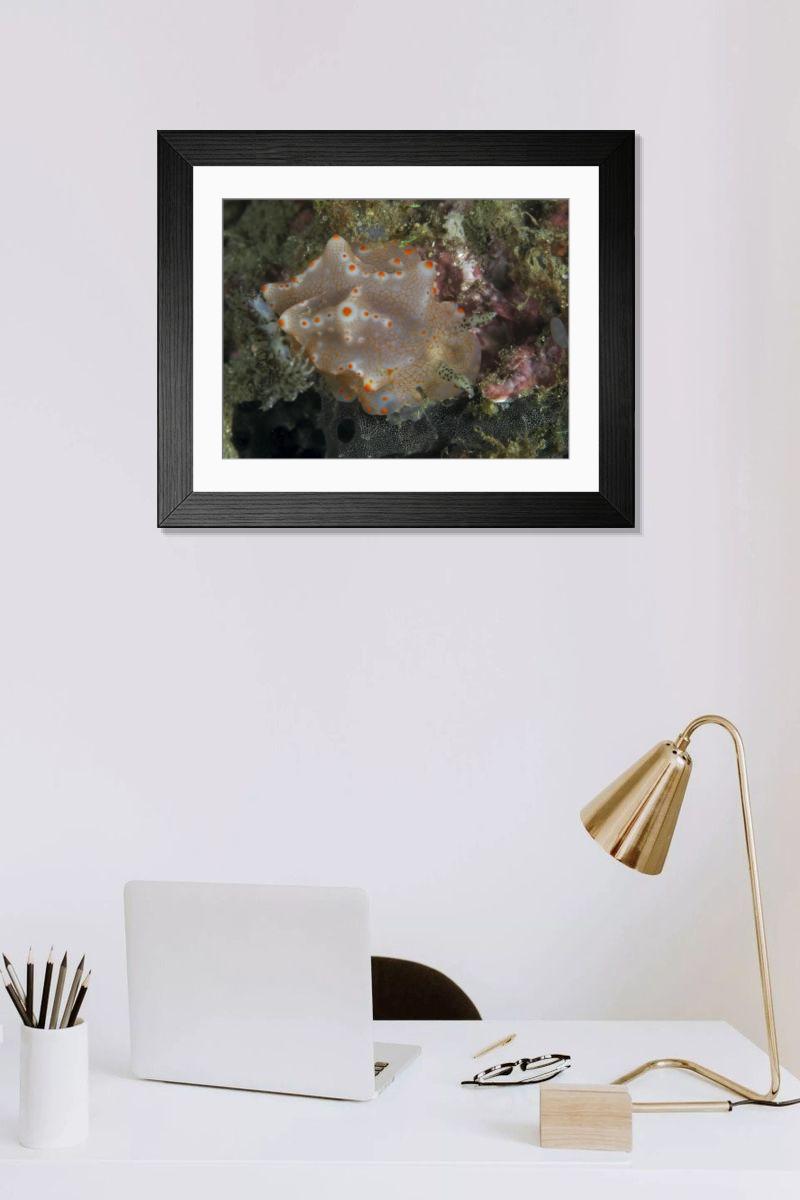 Shown hanging in a room: Modern 14"x12" (36x31cm)
