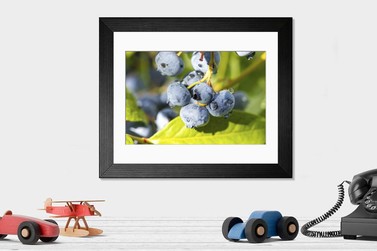 Shown hanging in a room: Modern 14"x12" (36x31cm)