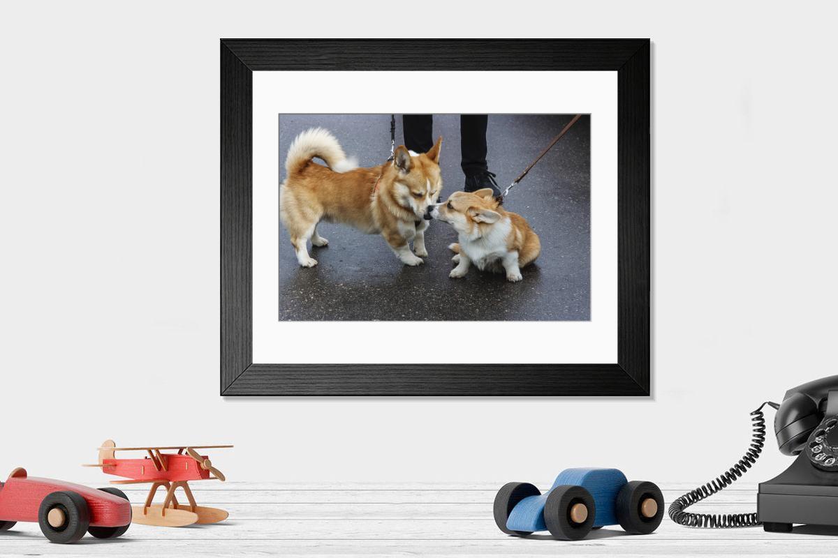 product preview 0