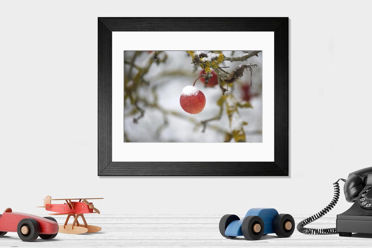 Shown hanging in a room: Modern 14"x12" (36x31cm)
