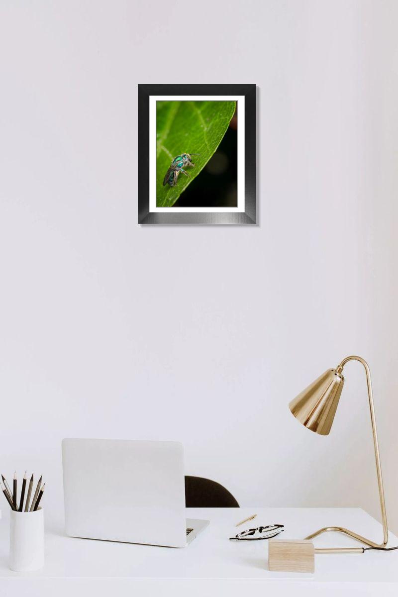 product preview 0