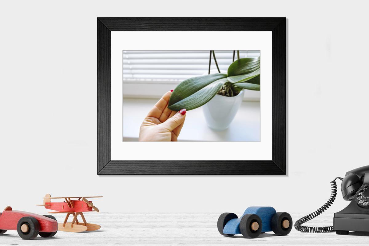 Shown hanging in a room: Modern 14"x12" (36x31cm)