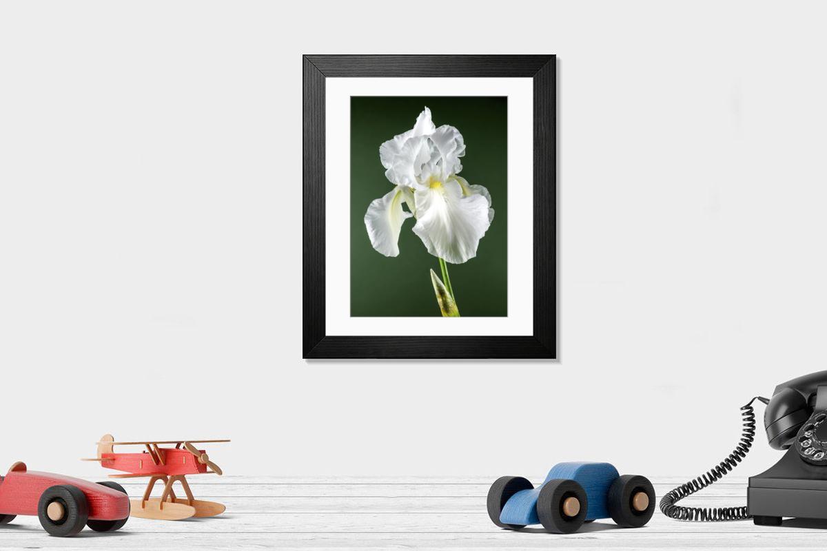 Shown hanging in a room: Modern 14"x12" (36x31cm)
