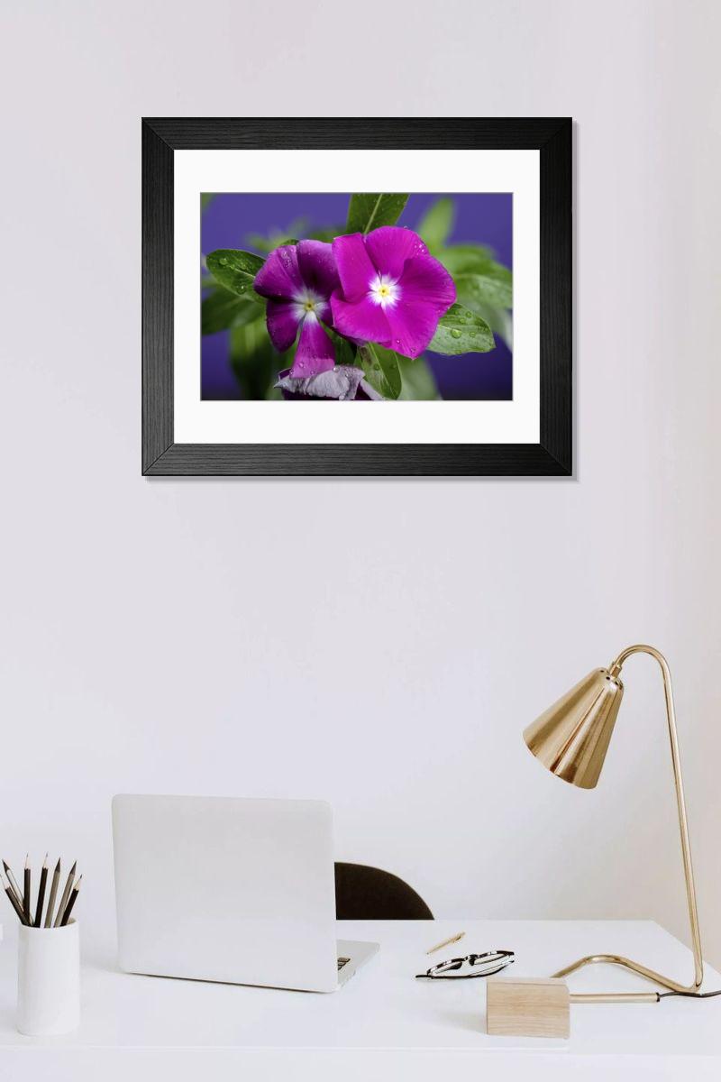 Shown hanging in a room: Modern 14"x12" (36x31cm)