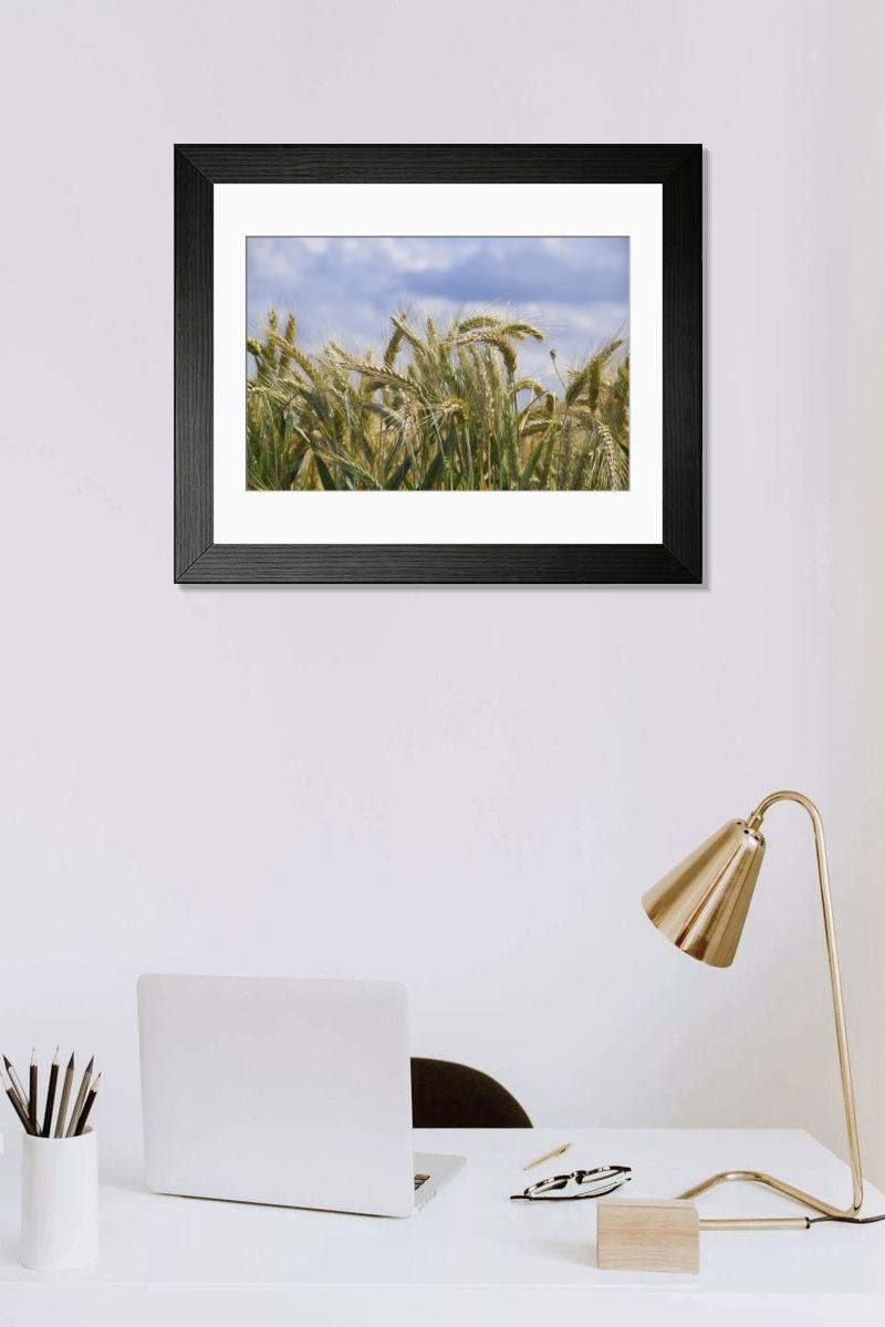 Shown hanging in a room: Modern 14"x12" (36x31cm)
