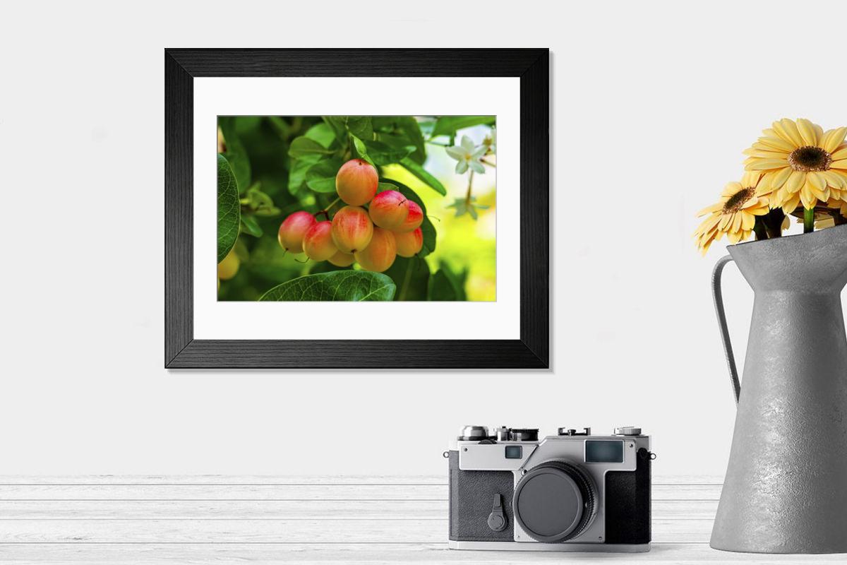 product preview 0