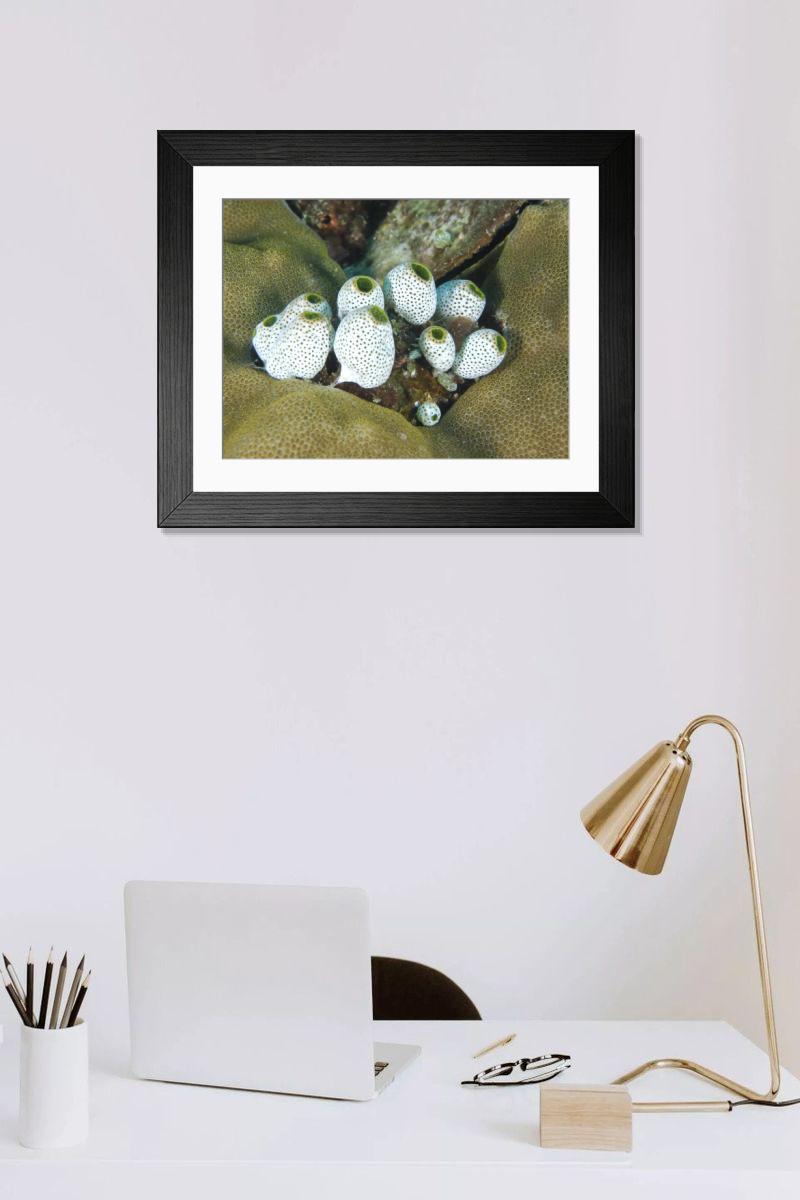 Shown hanging in a room: Modern 14"x12" (36x31cm)