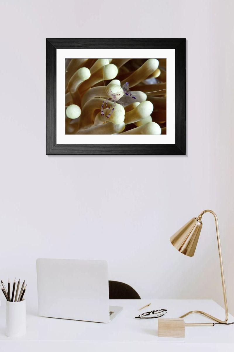 Shown hanging in a room: Modern 14"x12" (36x31cm)