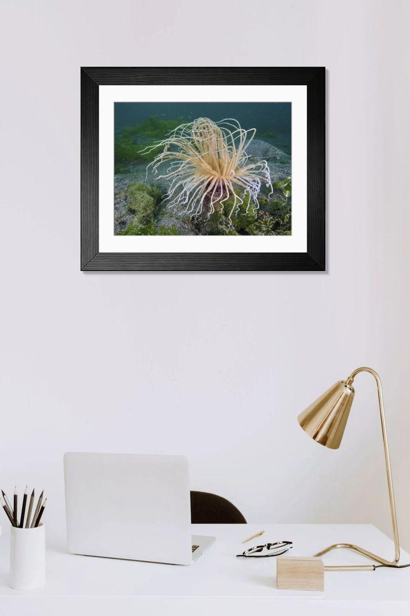 Shown hanging in a room: Modern 14"x12" (36x31cm)