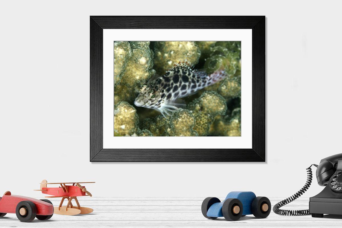 Shown hanging in a room: Modern 14"x12" (36x31cm)