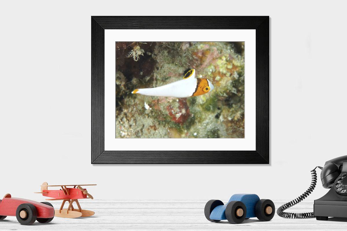 Shown hanging in a room: Modern 14"x12" (36x31cm)