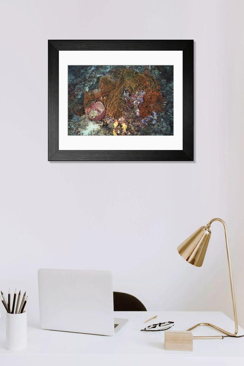 Shown hanging in a room: Modern 14"x12" (36x31cm)