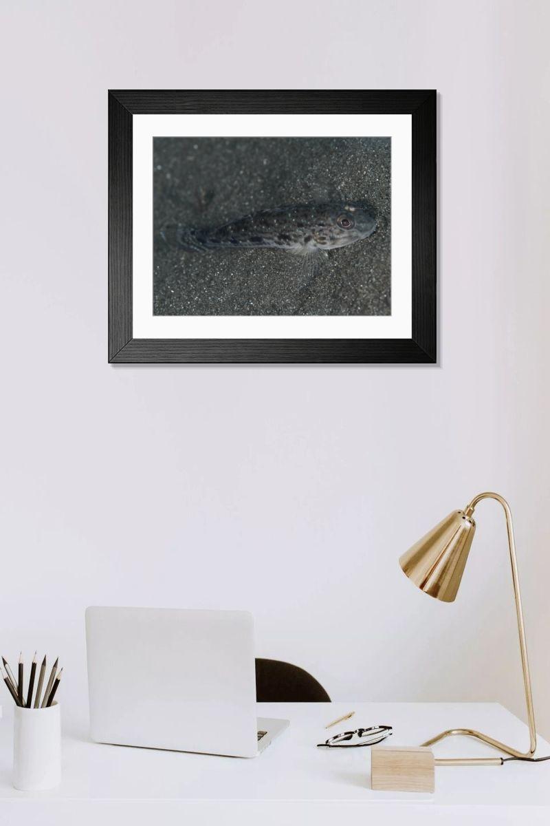 Shown hanging in a room: Modern 14"x12" (36x31cm)