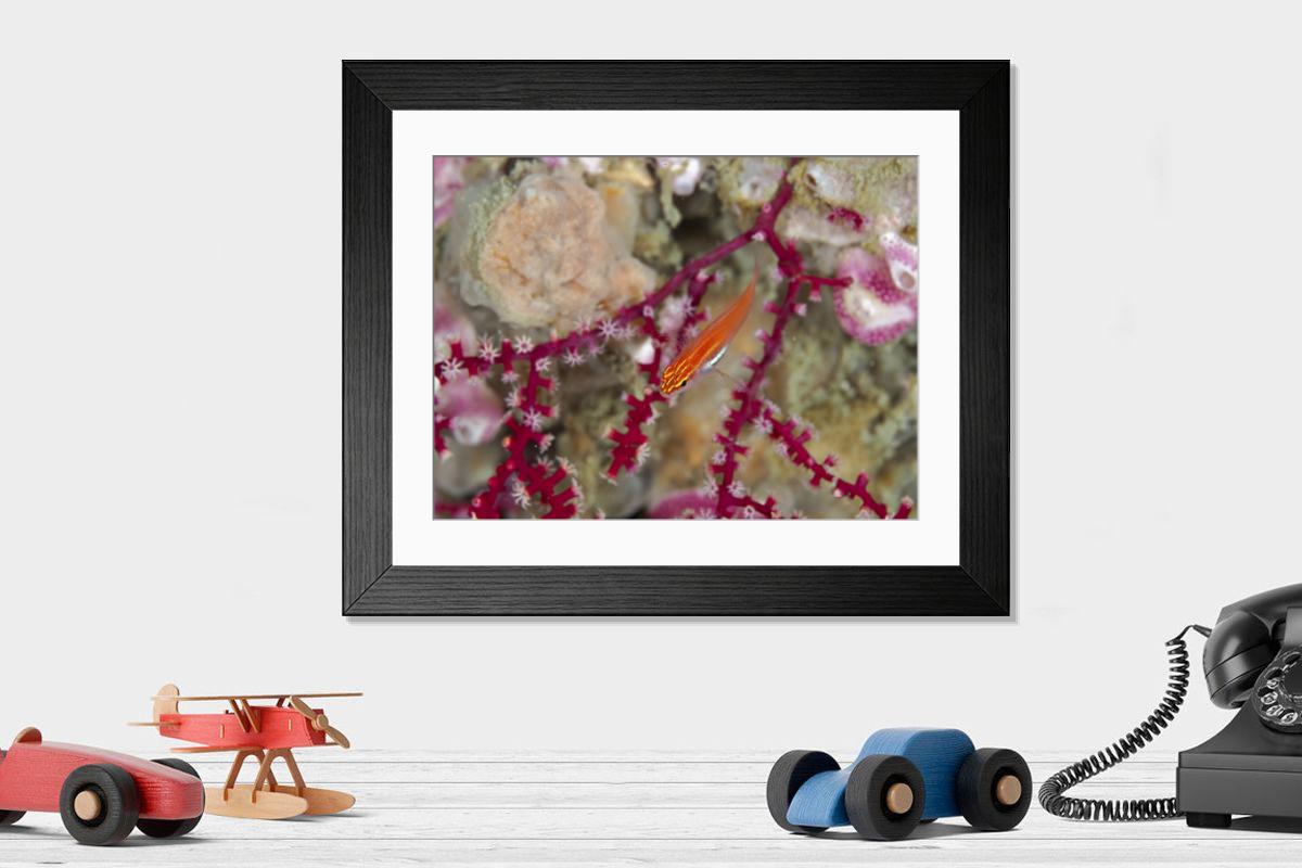Shown hanging in a room: Modern 14"x12" (36x31cm)