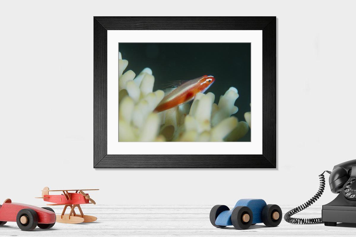 Shown hanging in a room: Modern 14"x12" (36x31cm)