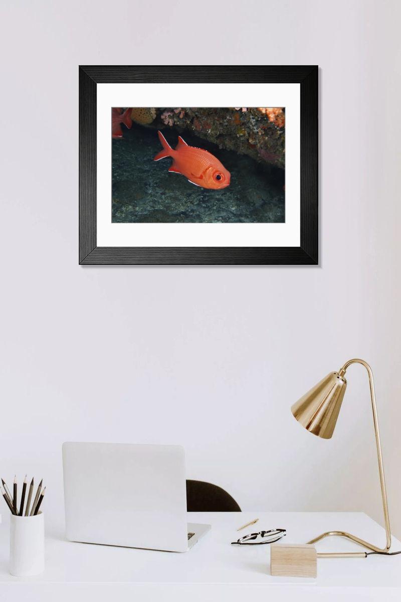 Shown hanging in a room: Modern 14"x12" (36x31cm)
