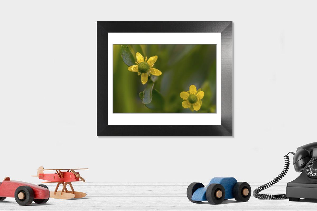 Shown hanging in a room: Modern 12"x10"