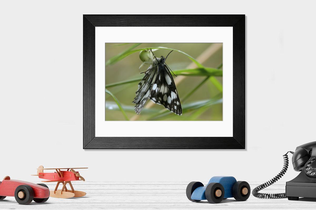 Shown hanging in a room: Modern 14"x12" (36x31cm)