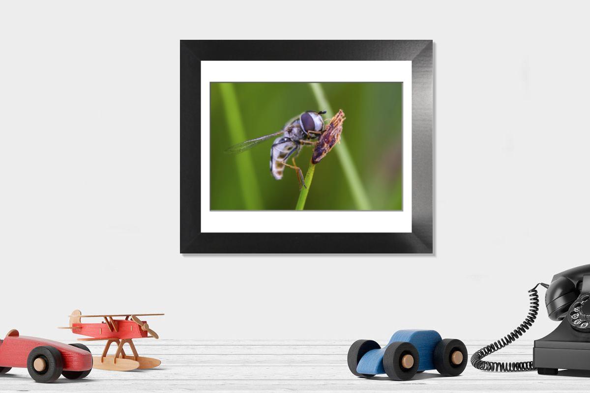Shown hanging in a room: Modern 12"x10"
