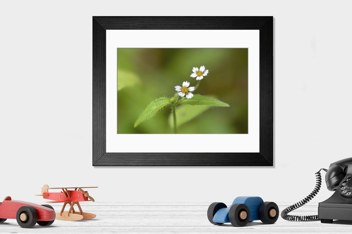 Shown hanging in a room: Modern 14"x12" (36x31cm)