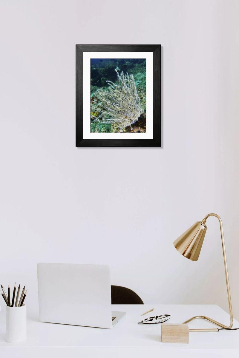 Shown hanging in a room: Modern 14"x12" (36x31cm)