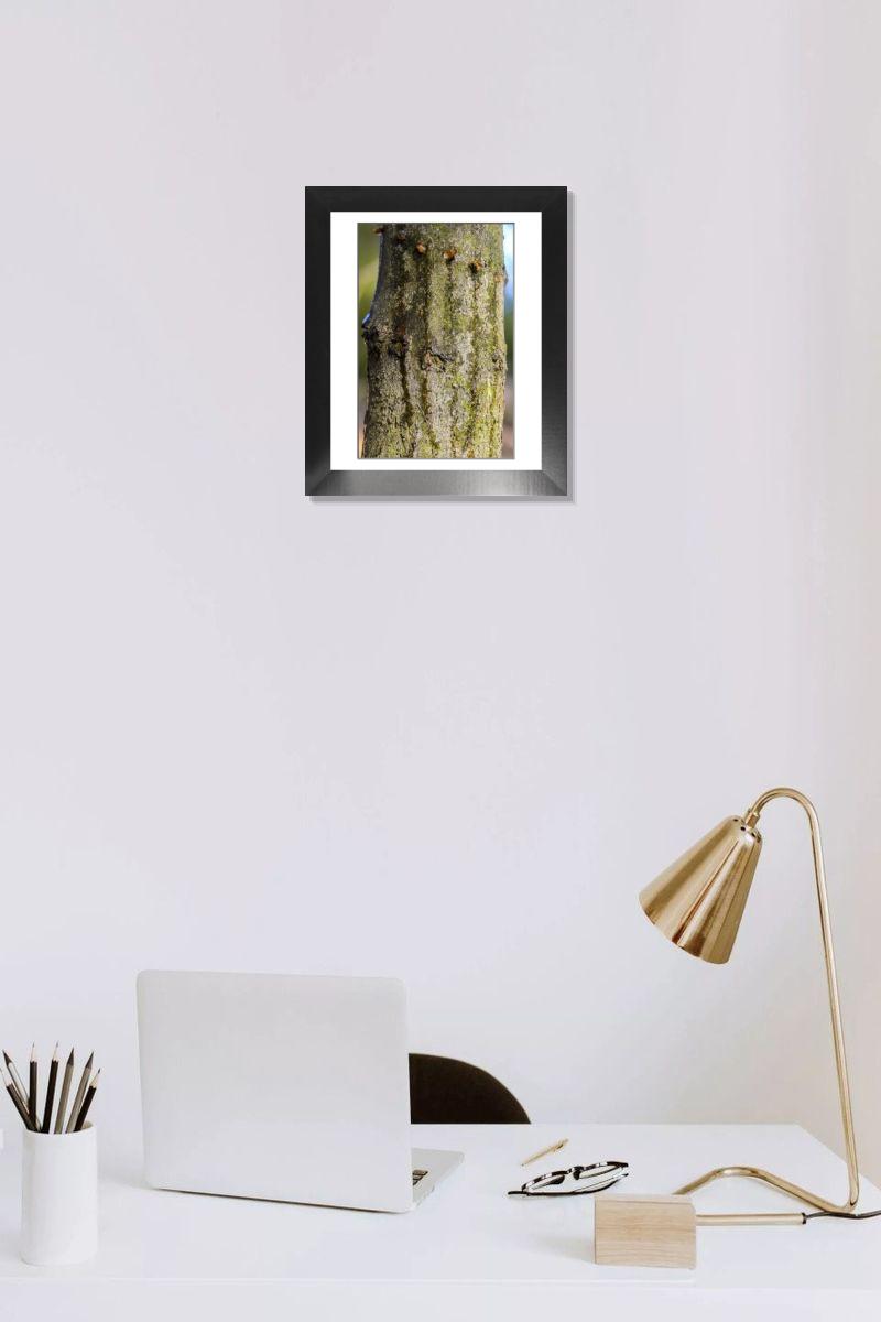 Shown hanging in a room: Modern 12"x10"