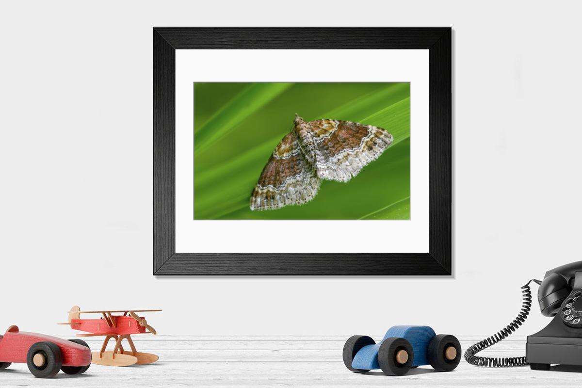 Shown hanging in a room: Modern 14"x12" (36x31cm)