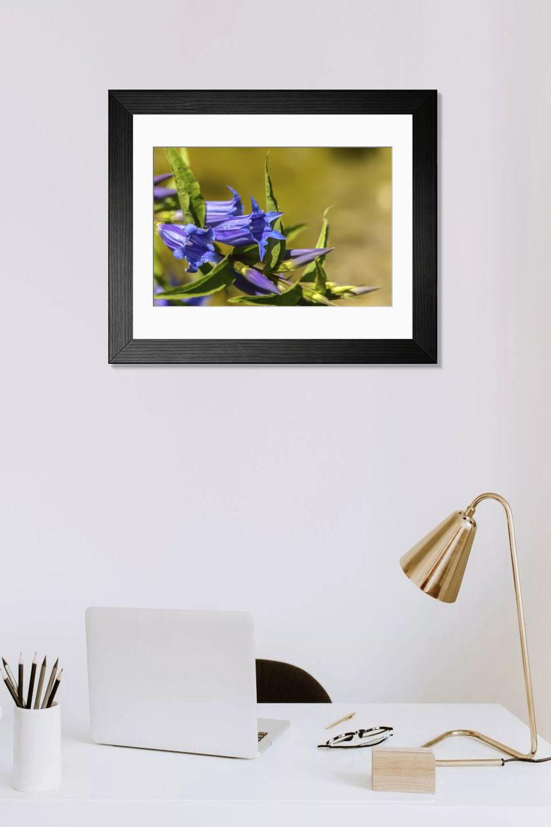 Shown hanging in a room: Modern 14"x12" (36x31cm)