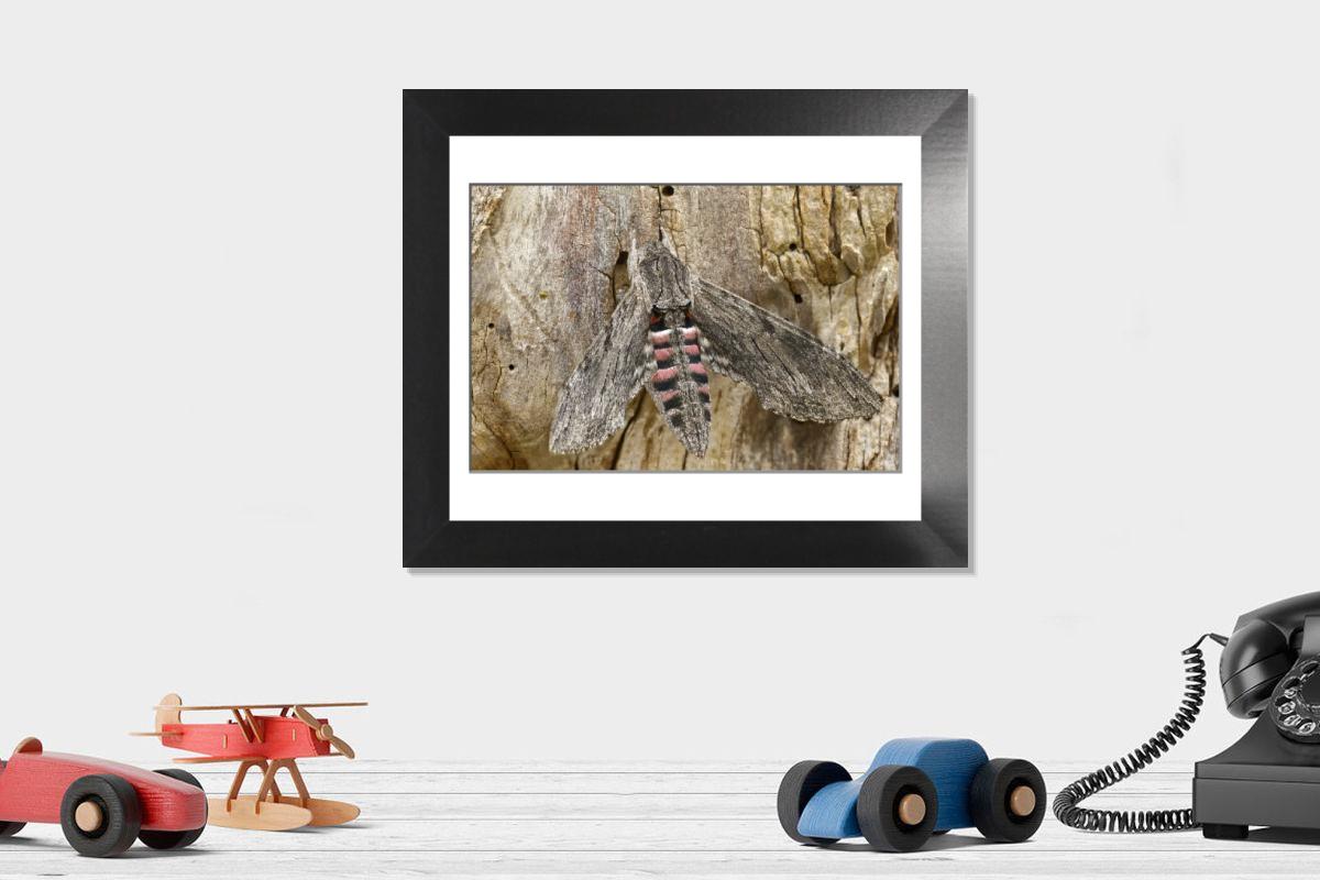product preview 0