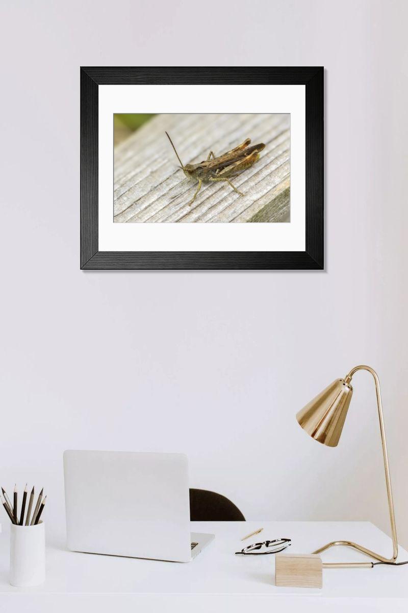 Shown hanging in a room: Modern 14"x12" (36x31cm)