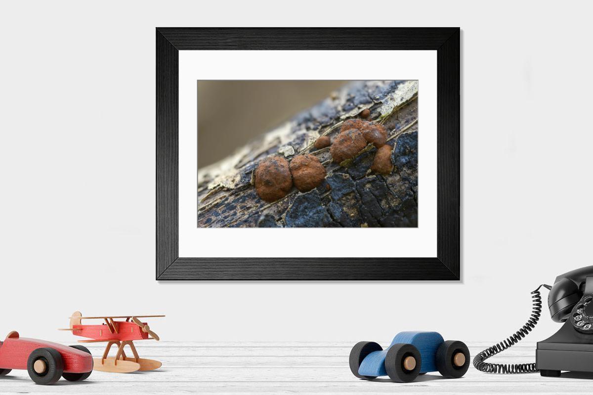 Shown hanging in a room: Modern 14"x12" (36x31cm)