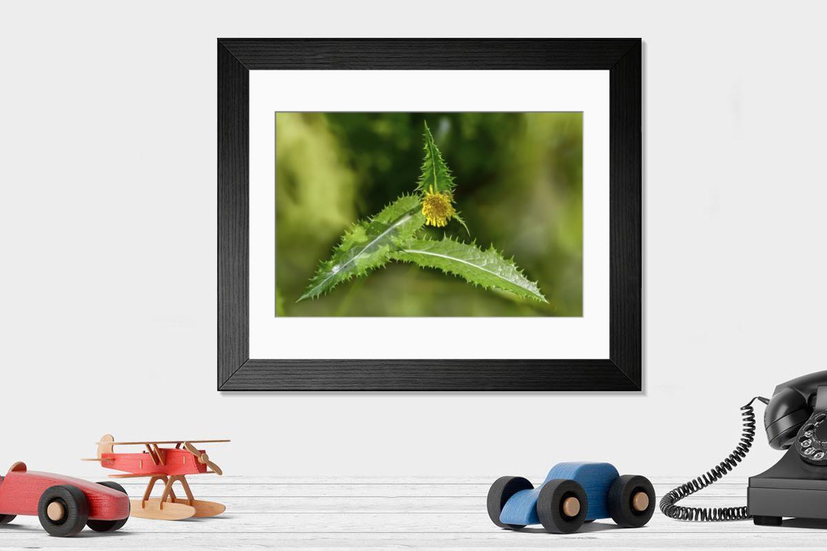 Shown hanging in a room: Modern 14"x12" (36x31cm)