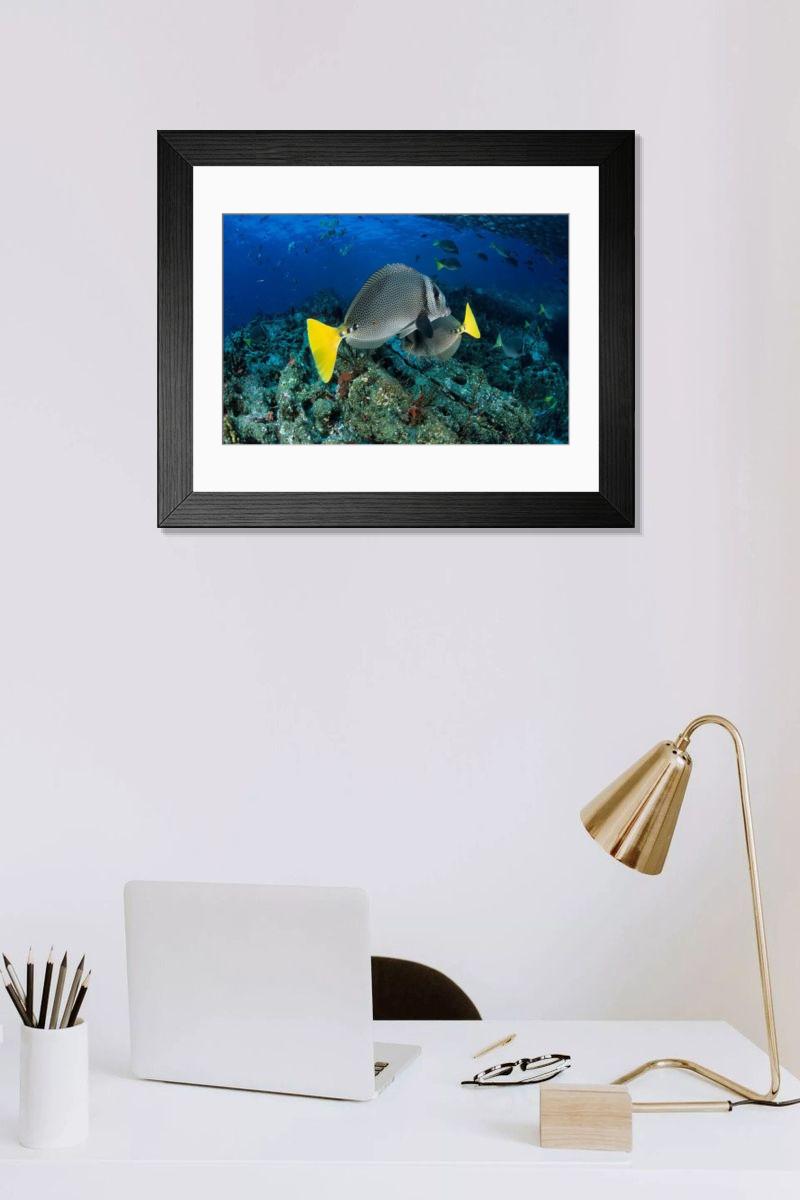 Shown hanging in a room: Modern 14"x12" (36x31cm)