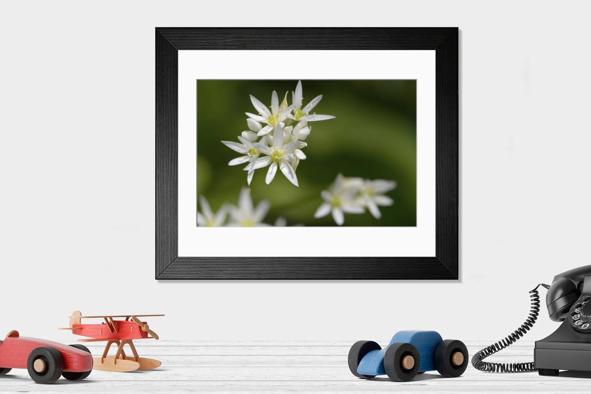 Shown hanging in a room: Modern 14"x12" (36x31cm)