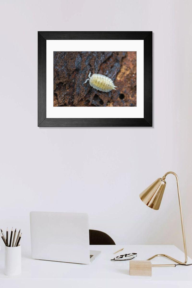Shown hanging in a room: Modern 14"x12" (36x31cm)