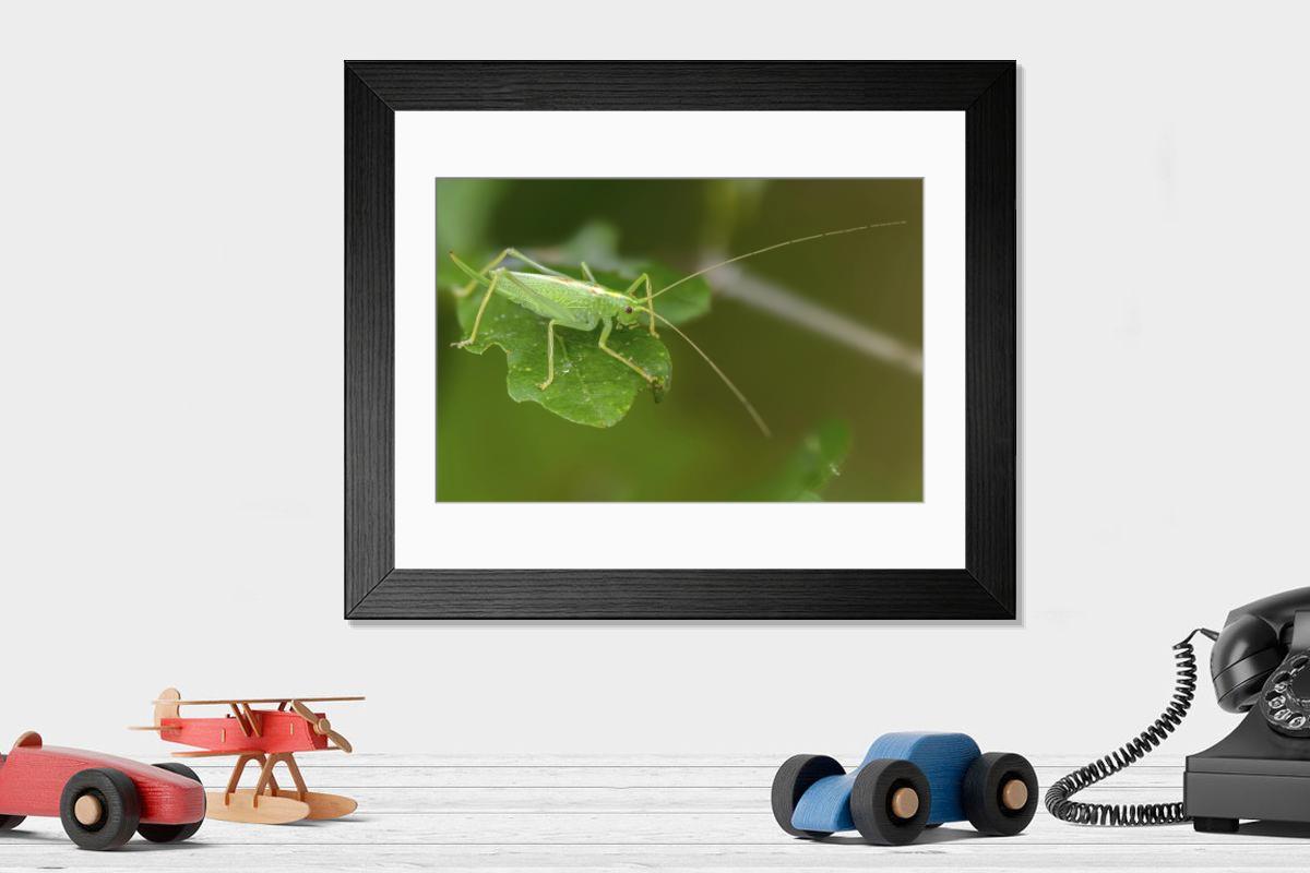 Shown hanging in a room: Modern 14"x12" (36x31cm)