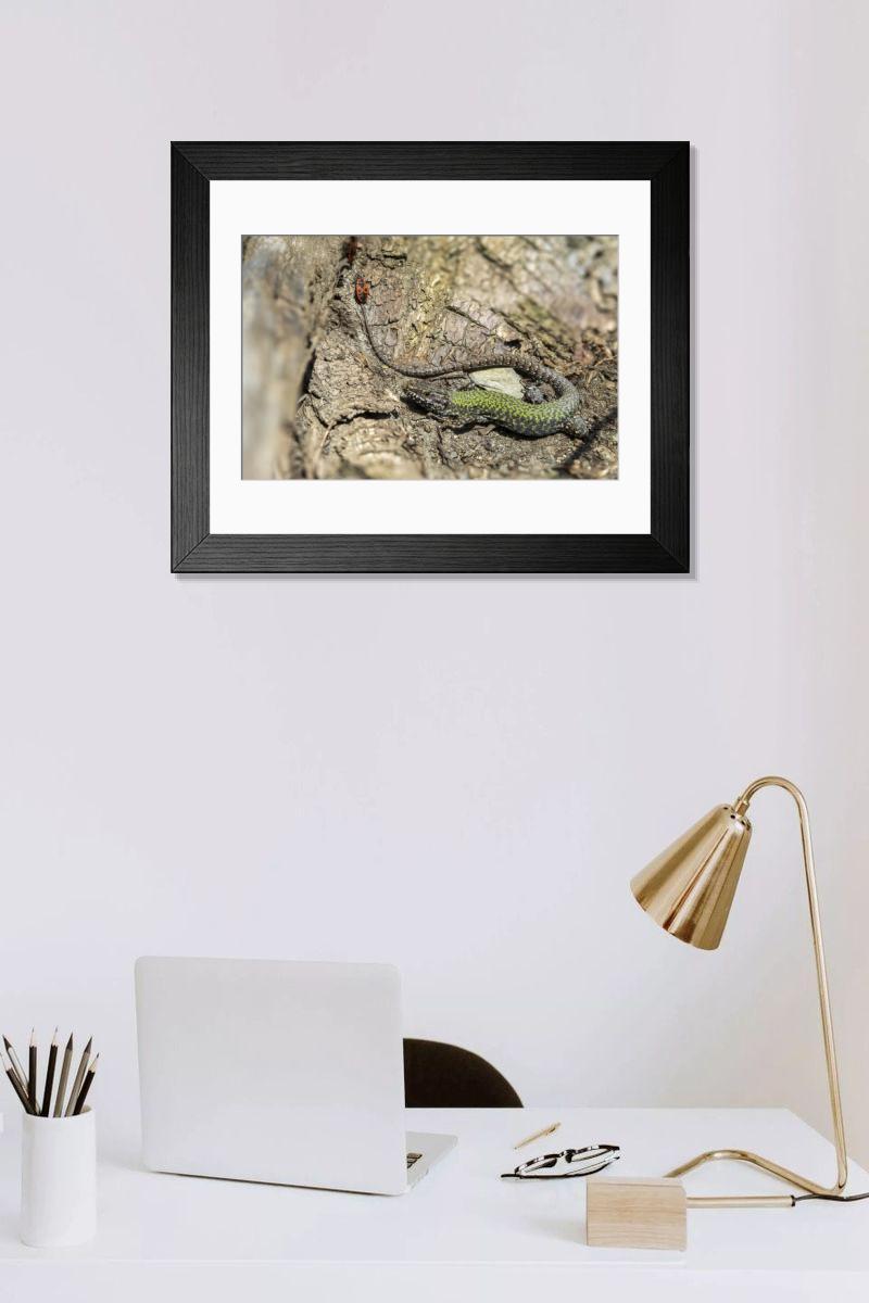 Shown hanging in a room: Modern 14"x12" (36x31cm)