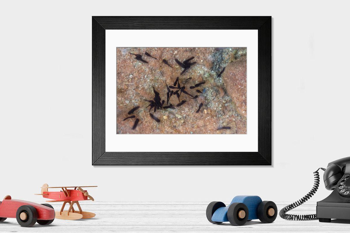 Shown hanging in a room: Modern 14"x12" (36x31cm)