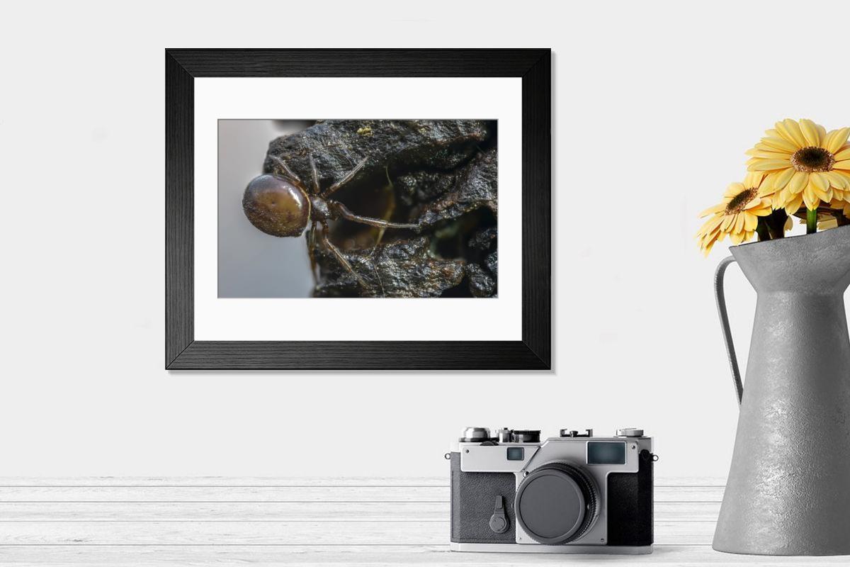 Shown hanging in a room: Modern 14"x12" (36x31cm)