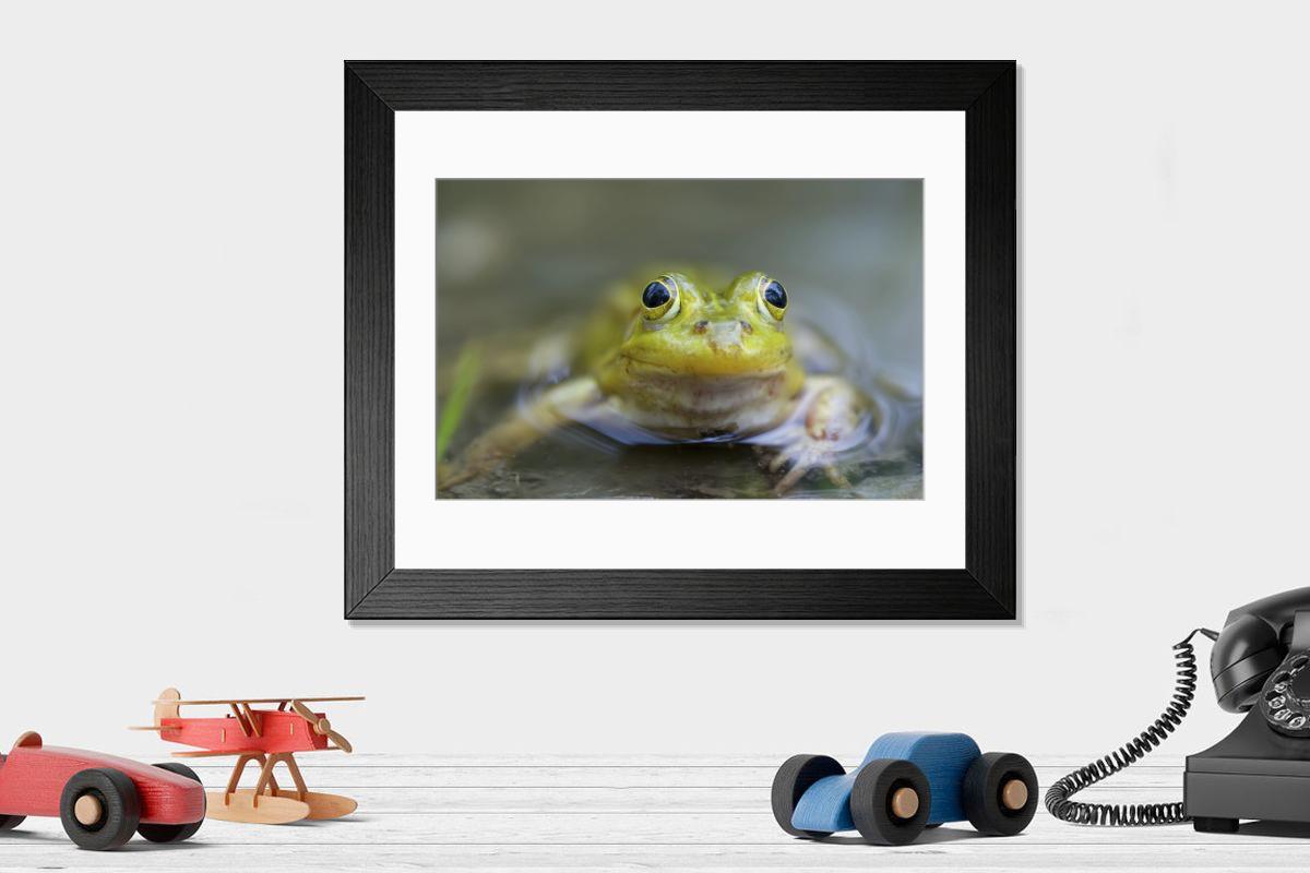 Shown hanging in a room: Modern 14"x12" (36x31cm)