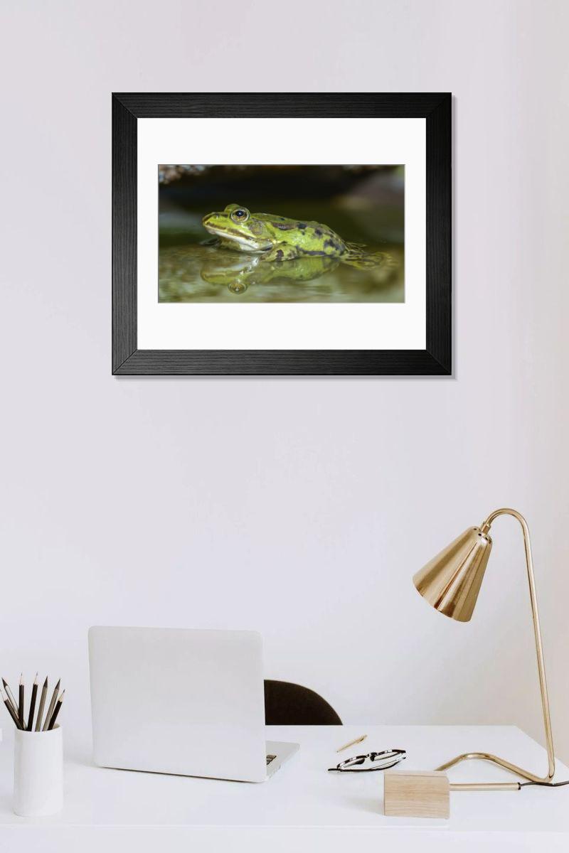 Shown hanging in a room: Modern 14"x12" (36x31cm)