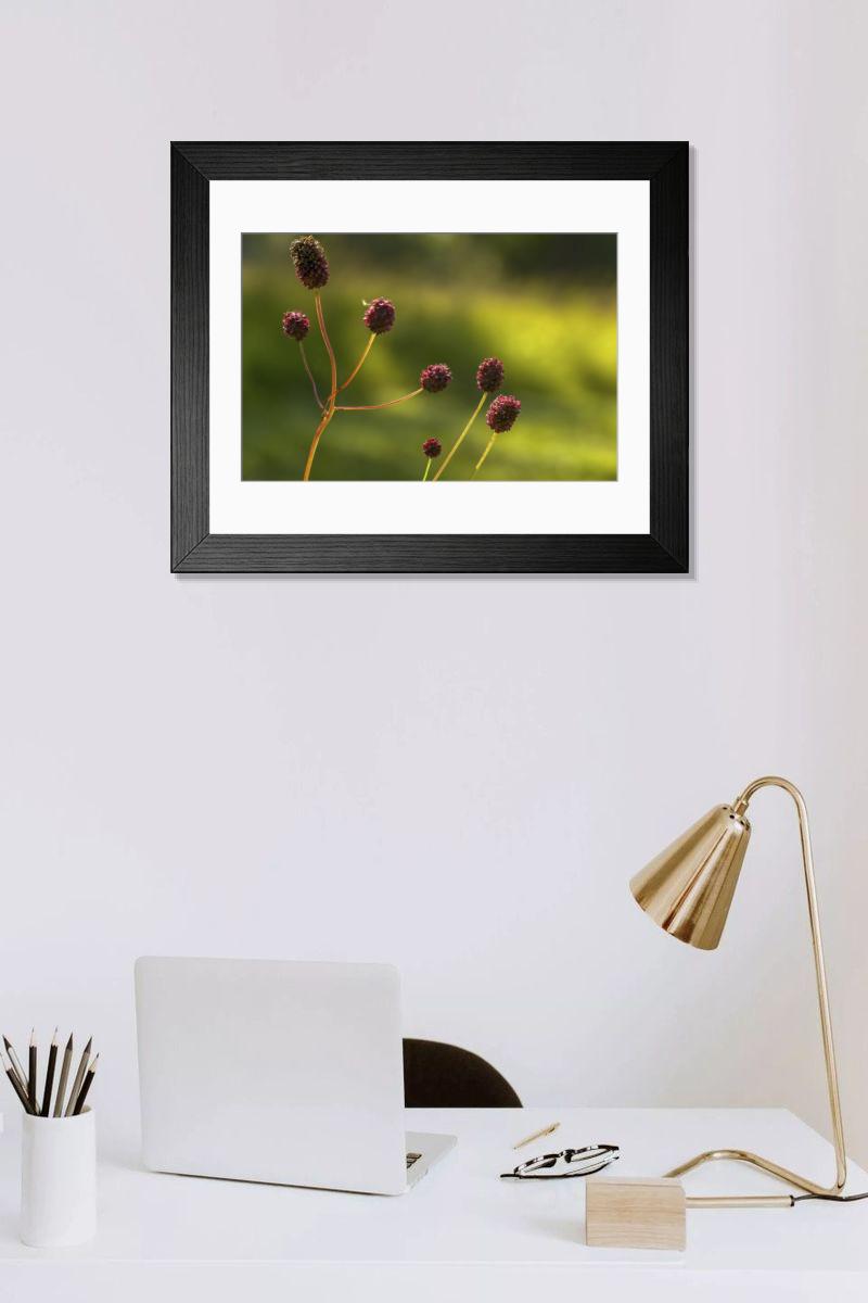 Shown hanging in a room: Modern 14"x12" (36x31cm)