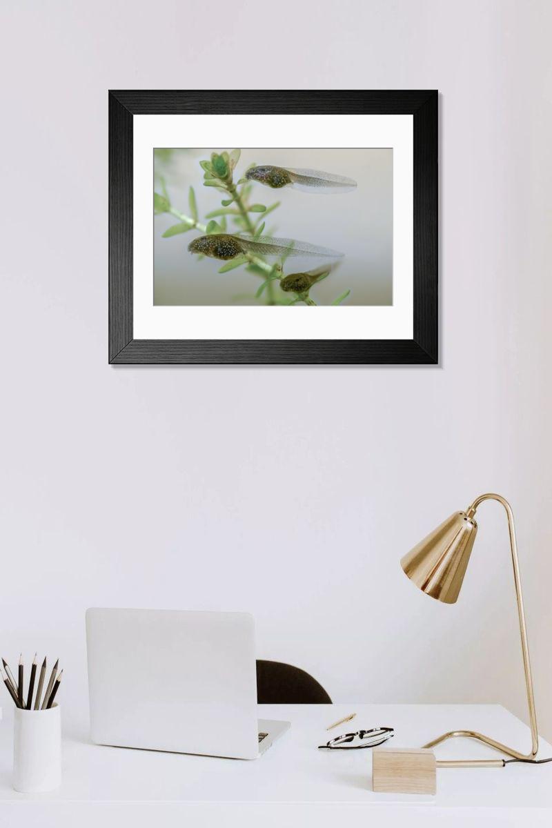 Shown hanging in a room: Modern 14"x12" (36x31cm)