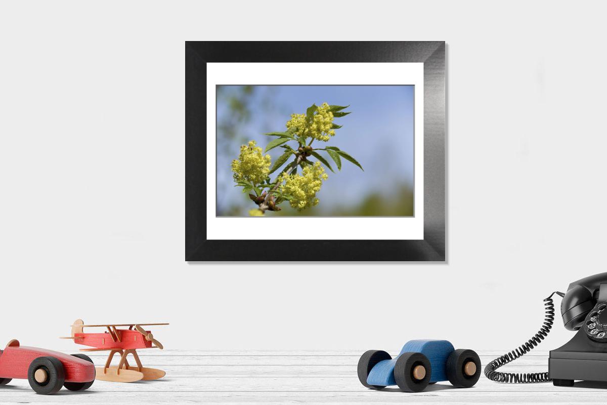 Shown hanging in a room: Modern 12"x10"