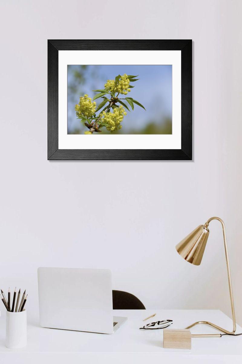Shown hanging in a room: Modern 14"x12" (36x31cm)