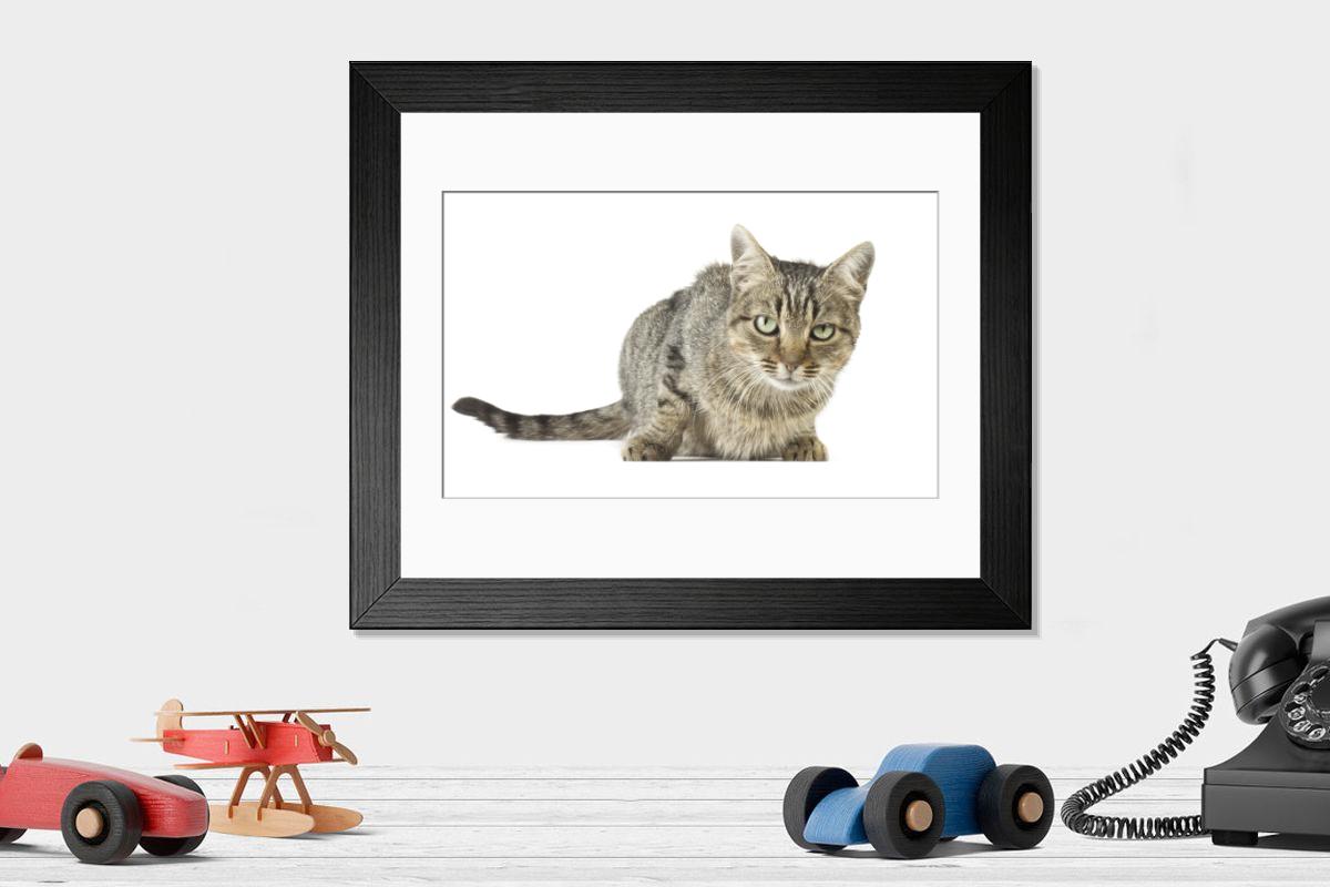 Shown hanging in a room: Modern 14"x12" (36x31cm)