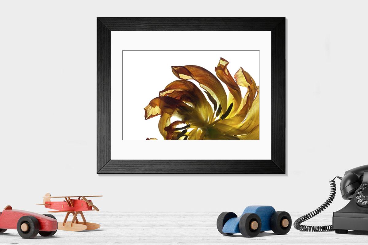 Shown hanging in a room: Modern 14"x12" (36x31cm)