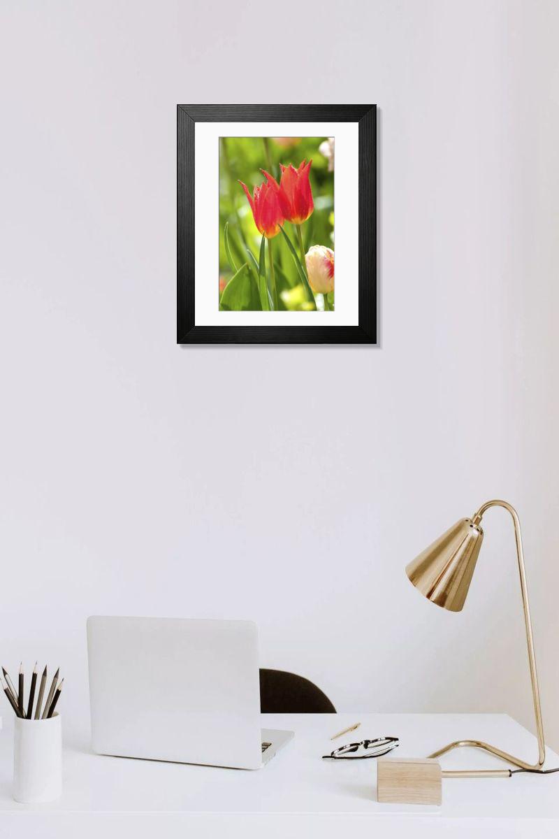 Shown hanging in a room: Modern 14"x12" (36x31cm)